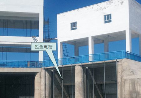 JD/DS拦鱼电栅系统